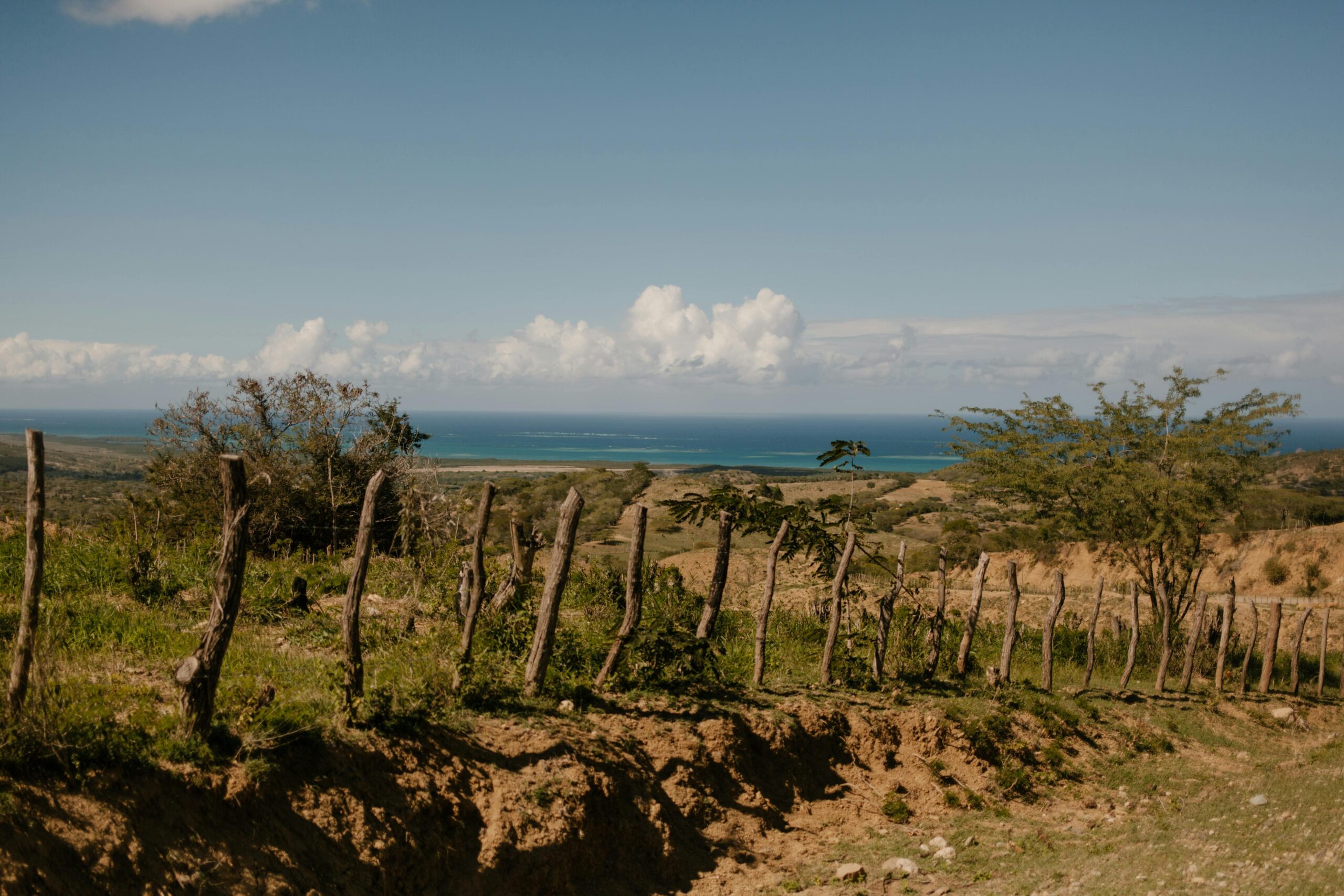 Lokalna Dominikana krajobraz z drewnianym płotem - tropikalne pola uprawne z widokiem na Morze Karaibskie, autentyczna Dominikana z czerwoną glebą i egzotyczną roślinnością poza kurortami